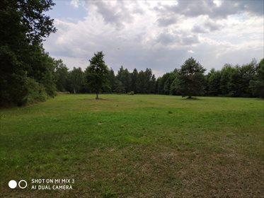 Działka budowlana na sprzedaż Chotyłów 8 503m2 Foto 5