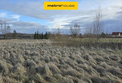 działka na sprzedaż 6541m2 działka Dąbrowa