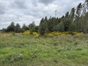 Działka budowlana 1707m2, Bukowiec, gm. Brójce działka Bukowiec, Południowa