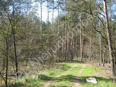 działka na sprzedaż 20400m2 działka Kajetany