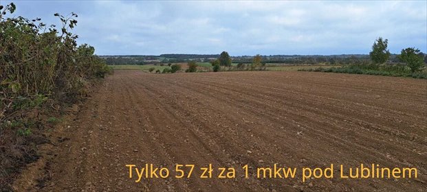 Polecam działkę 10 477 m² z mediami, Jastków działka Panieńszczyzna