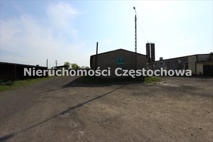Działka inna pod dzierżawę Puszczew 9 921m2 Foto 3