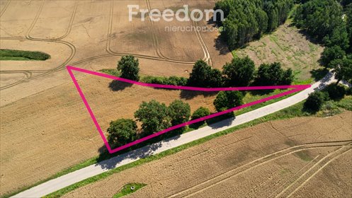 Działka 3000 m² w Goszynie (media, warunki zabudowy) działka Goszyn