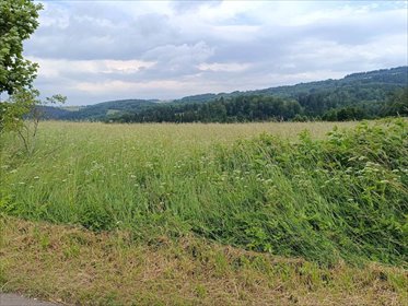 Zapraszam do zakupu działki 2000 m² w Walim z możliwością powiększenia działka Walim