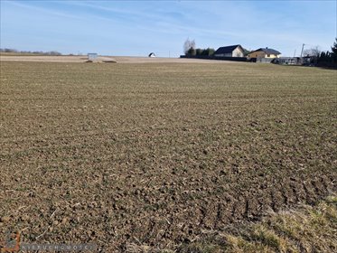 działka na sprzedaż 1000m2 działka Sieciechowice