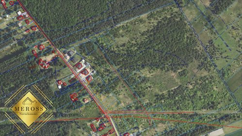Działka budowlana na sprzedaż Aleksandria Pierwsza 1 042m2 Foto 5