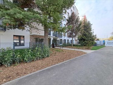 mieszkanie na wynajem 37m2 mieszkanie Wrocław, Krzyki, Paczkowska