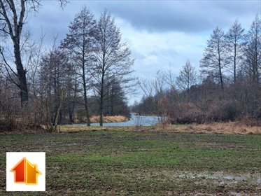 Polecam działkę rekreacyjną 8,7 tys. m² z linią jeziora działka Bodzanów, Kępska