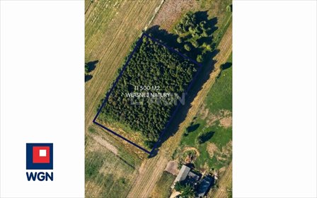 działka na sprzedaż 11500m2 działka Budy Prywatne, Budy Prywatne, Budy Prywatne