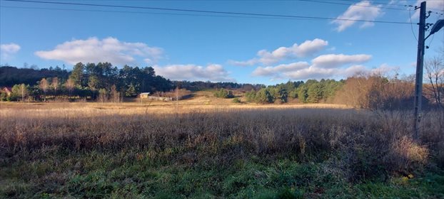 Działka rolna na sprzedaż Bliżów 18 700m2 Foto 2