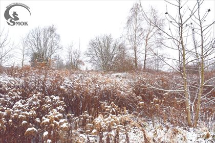 działka na sprzedaż 2800m2 działka Zabawa