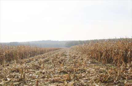 działka na sprzedaż 19800m2 działka Nowa Jamka