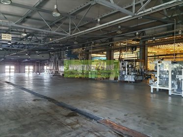 magazyn na wynajem 3500m2 magazyn Płochocin