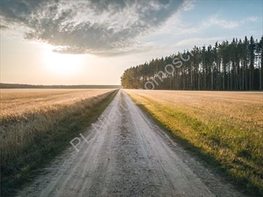 Do sprzedania działka 1700 m² przy lesie z mediami i możliwością powiększenia działka Rusiec