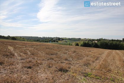 Działka rolna na sprzedaż Smroków 7 167m2 Foto 6
