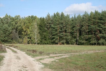 działka na sprzedaż 1154m2 działka Zabielne