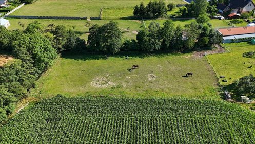 Urokliwa miejscowość nad jeziorem | działka z WZ działka Krzycko Małe, Główna