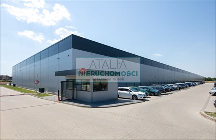 Dwie działki inwestycyjne 6468 m² pod zabudowę w Adamowicach działka Adamowice