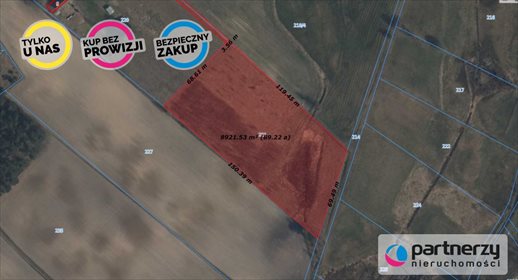 Działka siedliskowa na sprzedaż Górki 9 000m2 Foto 2