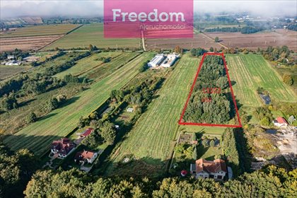 działka na sprzedaż 13322m2 działka Elbląg, Mazurska