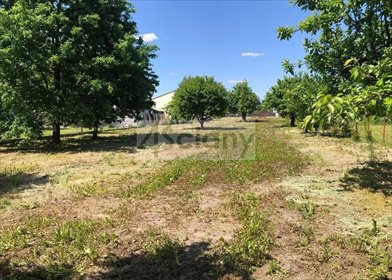 Do sprzedania działka 2000 m² w Ruscu z mediami i warunkami zabudowy działka Rusiec