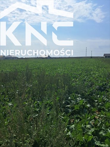 działka na sprzedaż 1594m2 działka Puchaczów