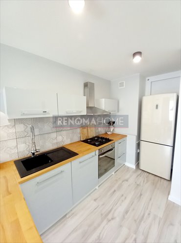 mieszkanie na wynajem 35m2 mieszkanie Lubin