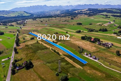 Działka inwestycyjna 8 020 m² pod turystykę i domy górskie działka Tatrzański, Kobylarzówka