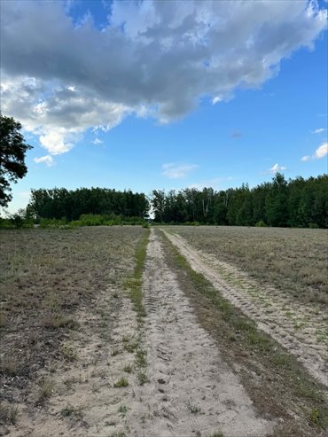 Działka na sprzedaż 60350m2 działka Młodzieszyn, Polna