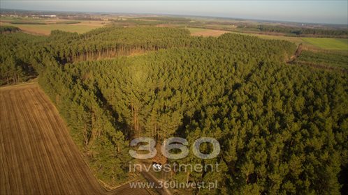 Działka leśna na sprzedaż Słonów 10 800m2 Foto 2