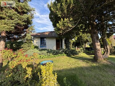 Urokliwa działka 288 m² z domkiem i ogrodem w Rumi działka Rumia