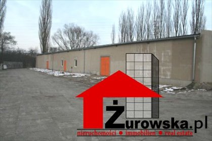 lokal użytkowy na wynajem 1200m2 lokal użytkowy Opole