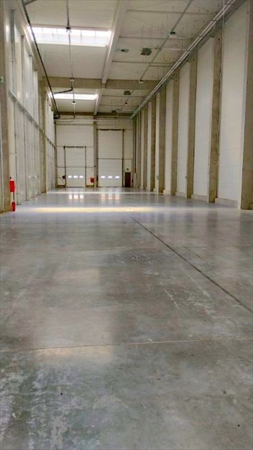 lokal użytkowy na wynajem 695m2 lokal użytkowy Siemianowice Śląskie