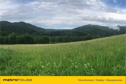 Działka rolna na sprzedaż Bukowiec, Solina 13 100m2 Foto 2