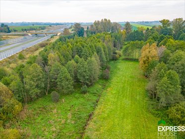 działka na sprzedaż 6469m2 działka Sieprawice