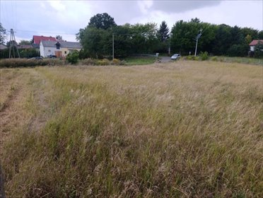 Działka 2663 m² w Panieńszczyźnie - cisza i widoki działka Panieńszczyzna