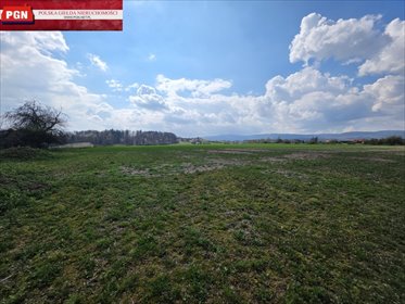 działka na sprzedaż 1098m2 działka Stary Wielisław