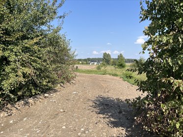 działka na sprzedaż 1460m2 działka Wola Mikorska