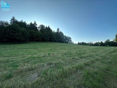 działka na sprzedaż 5500m2 działka Tylicz