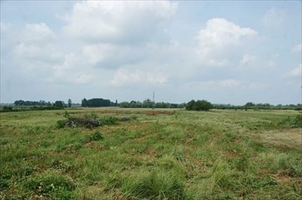 działka na sprzedaż 85300m2 działka Błonie