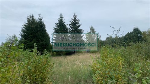 Działka pod zabudowę w Ojrzanowie, media, 2112 m2 działka Ojrzanów