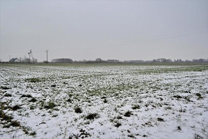 działka na sprzedaż 7500m2 działka Ludwin