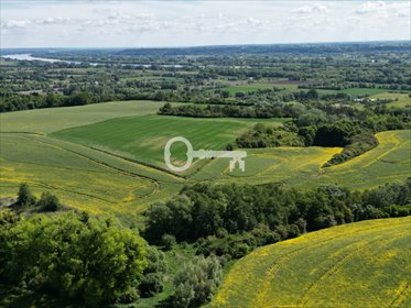 Na sprzedaż działka 2,2 ha z panoramą Doliny Wisły w Topolnie działka Topolno