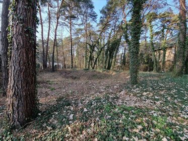 działka na sprzedaż 1487m2 działka Podkowa Leśna, Owczarnia