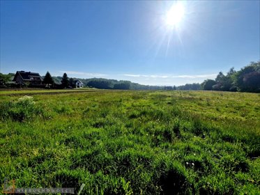 działka na sprzedaż 5500m2 działka Rybna