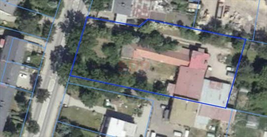 działka na sprzedaż 3000m2 działka Domasław