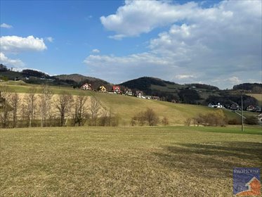 Działka 7200 m² z planem zagospodarowania - polecam działka Laskowa