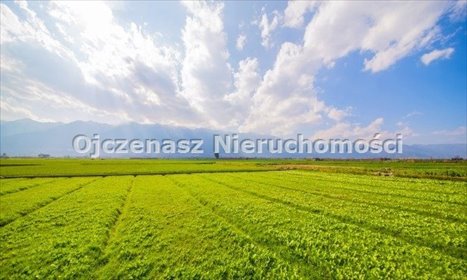 Działka rolna 6028 m² w Stronnie (cicha okolica) działka Stronno