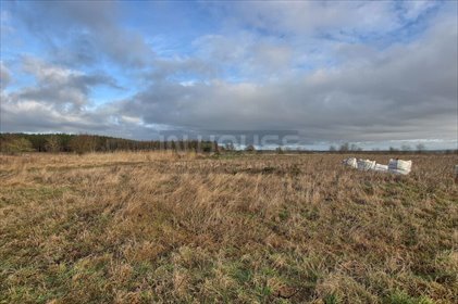 Działka rolna na sprzedaż Wąwelnica 1 191m2 Foto 5