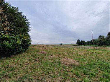 Działka budowlana na sprzedaż Suszki 1 171m2 Foto 4